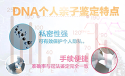 甘肃隐私DNA亲子鉴定的流程，甘肃个人亲子鉴定怎样收费